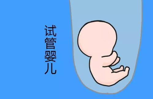 助孕借卵试管机构